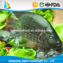 Tilapia entera fresca y escamada fresca congelada con precio competitivo